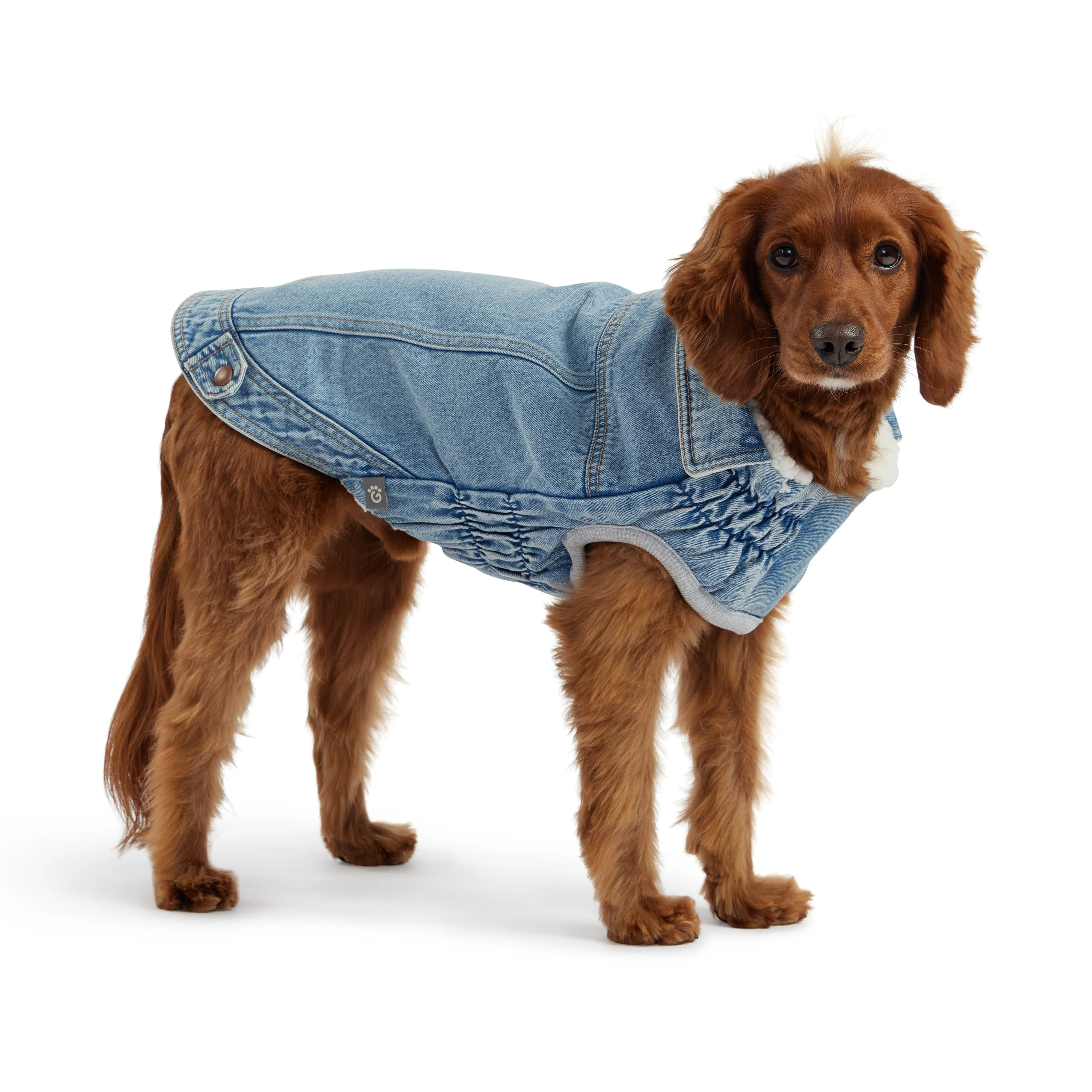 Denim Jacket - Light Wash by GF Pet