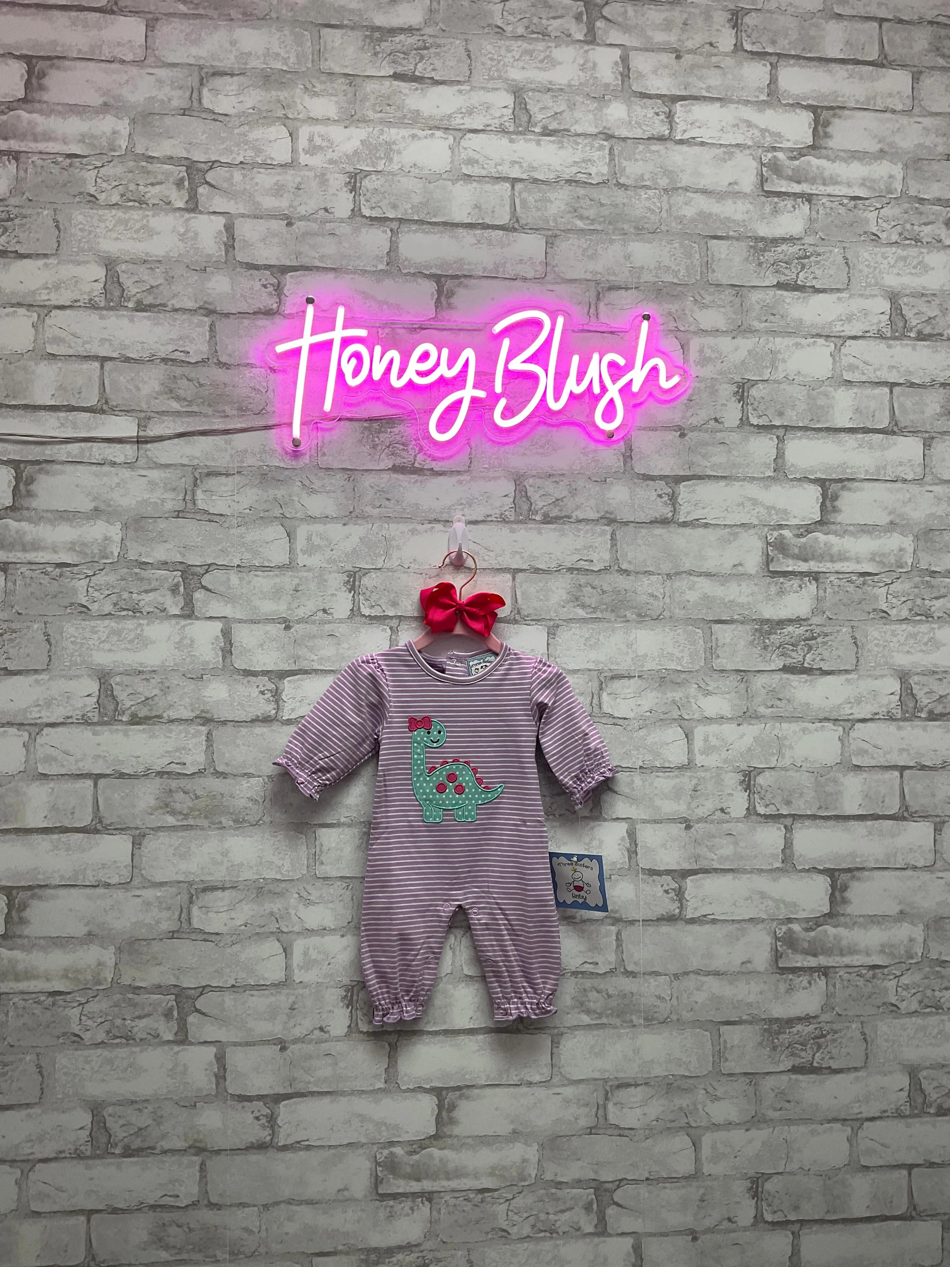 Dinosaur Girl's Applique Romper
