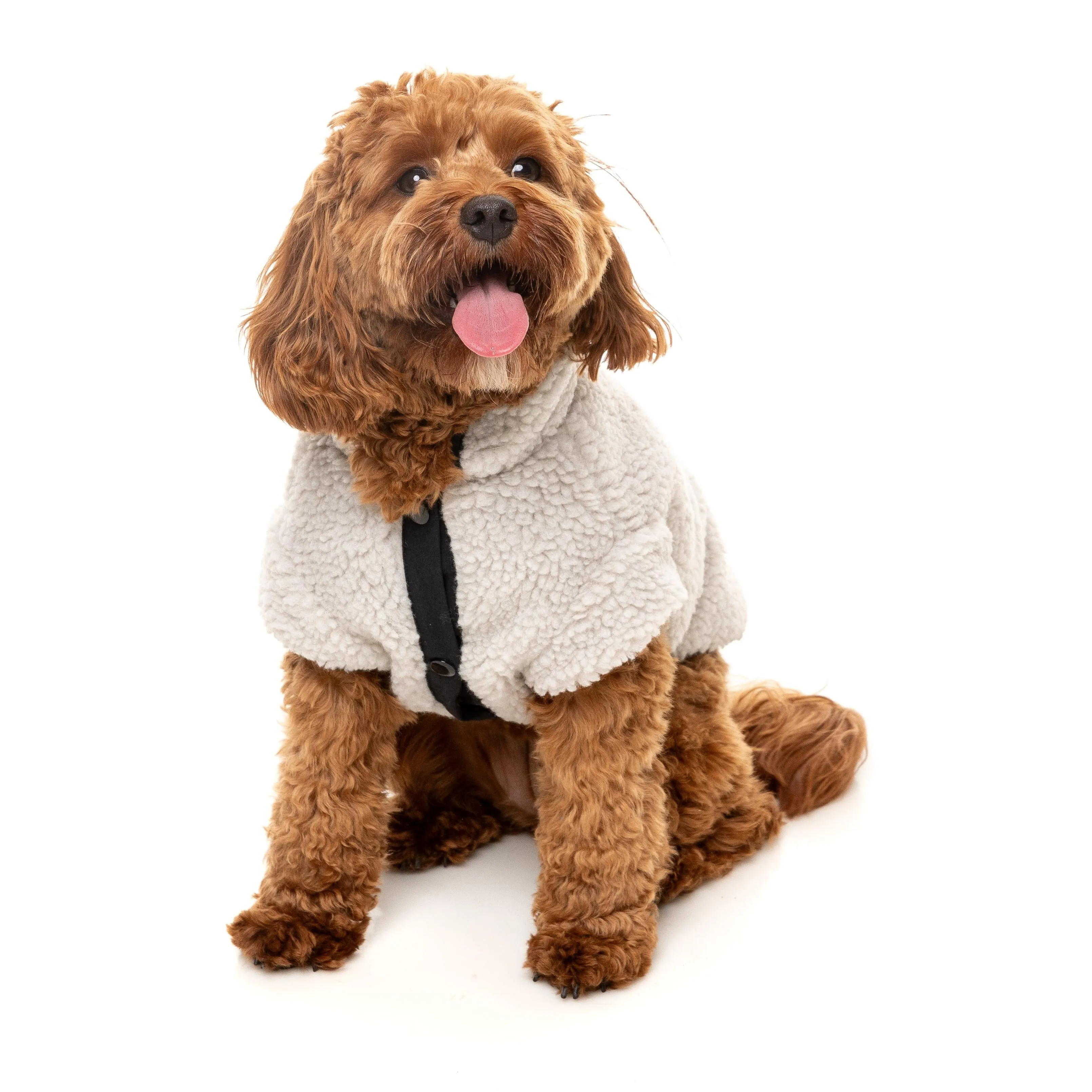 FuzzYard Dog Apparel Jacket Basecamp Stone Size 3
