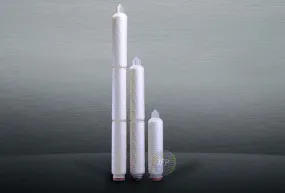 PureFlo MCS-Series Cartridge - MCS2071S1-S80-PH (Pharmaceutical Grade)