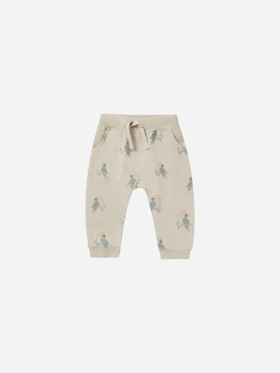 Sweatpants Parrots