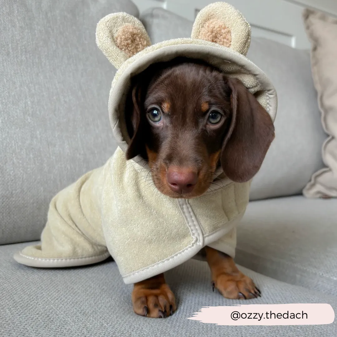 Teddy Drying Robe