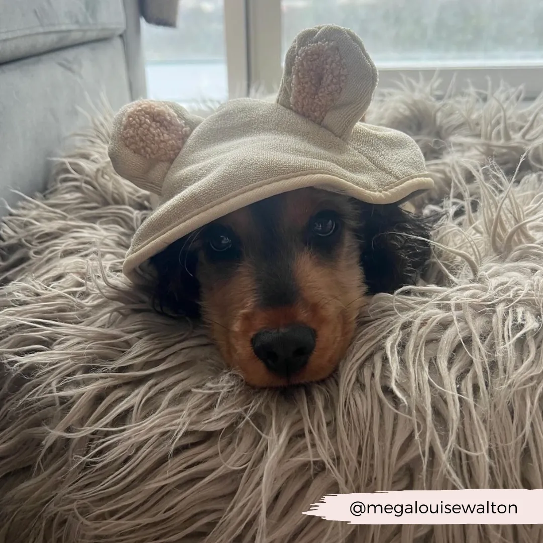 Teddy Drying Robe