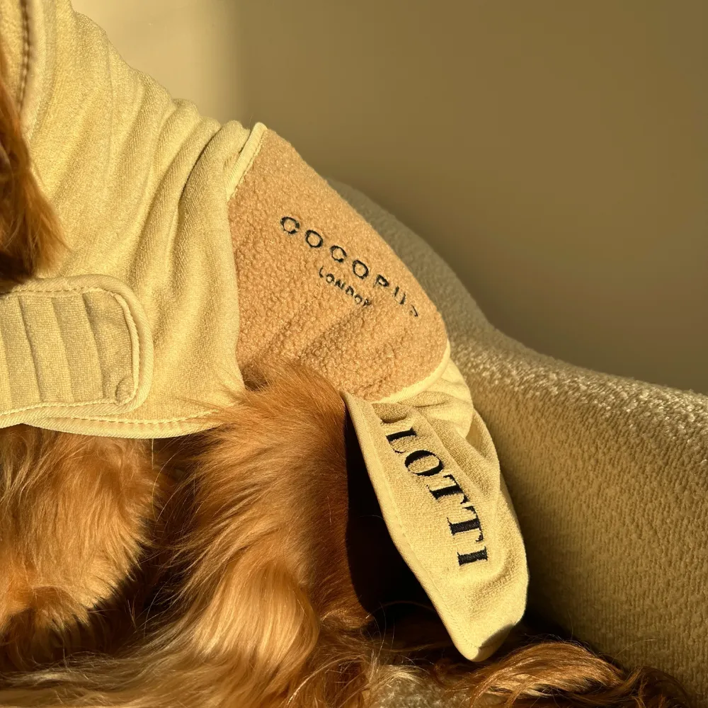 Teddy Drying Robe
