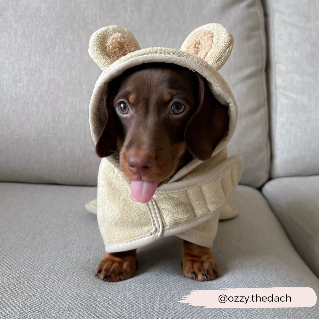Teddy Drying Robe